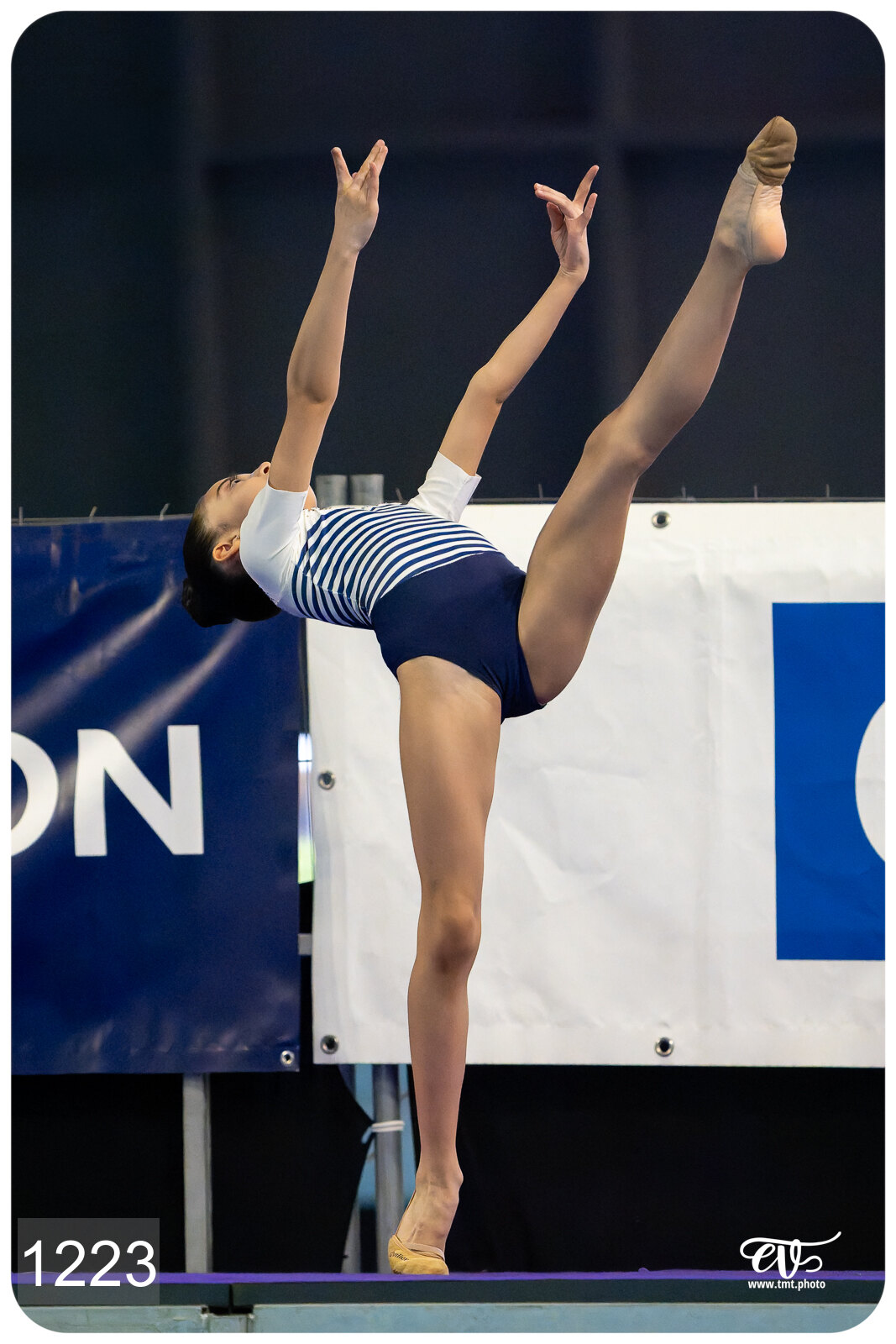 CHAMPIONNAT DE FRANCE DE NATATiON ARTISTIQUE N1 & ELITE 2026